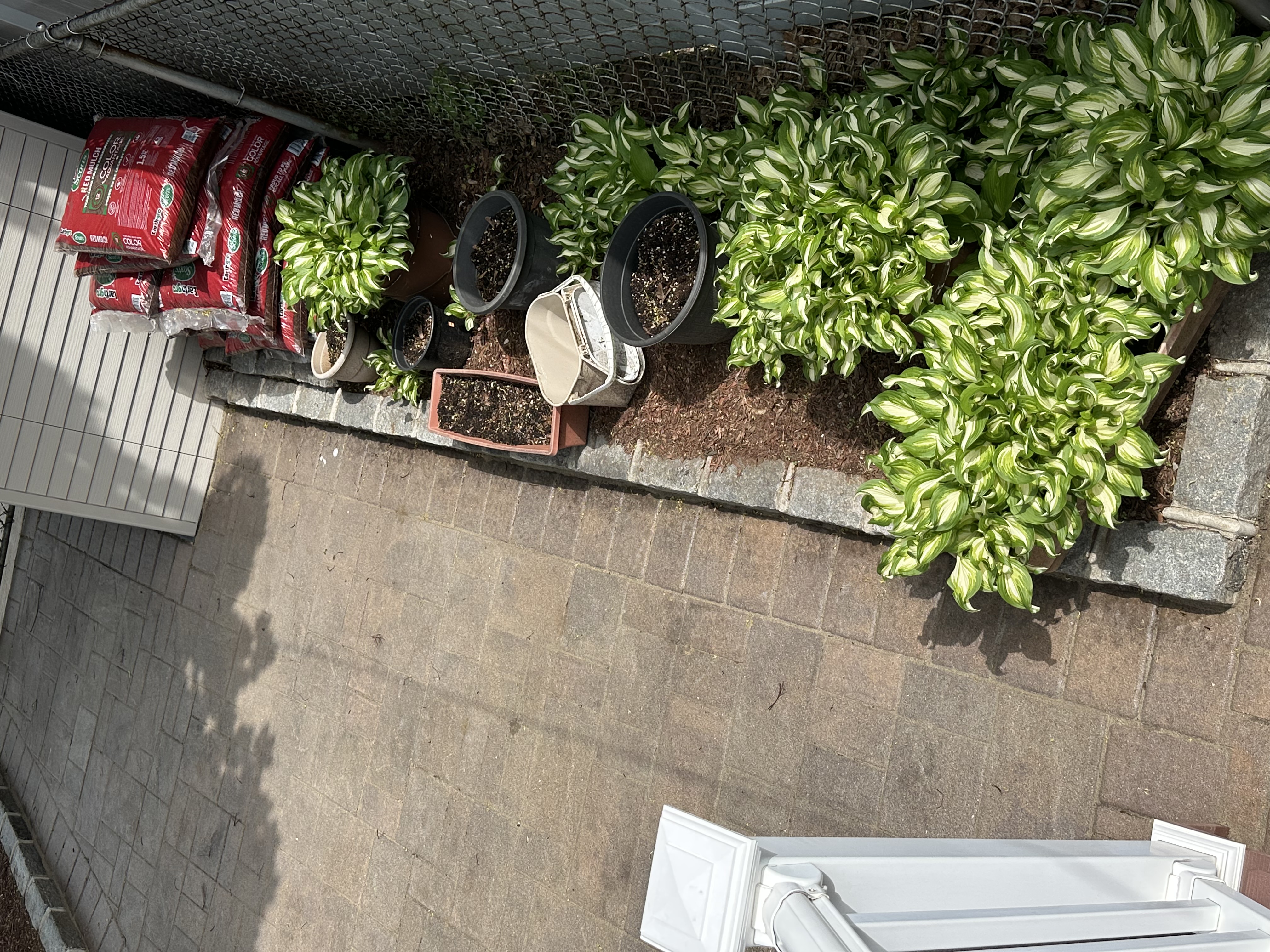 flower bed